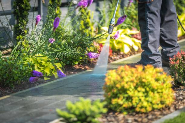Trusted Durham, CA Pressure Washing Services Experts
